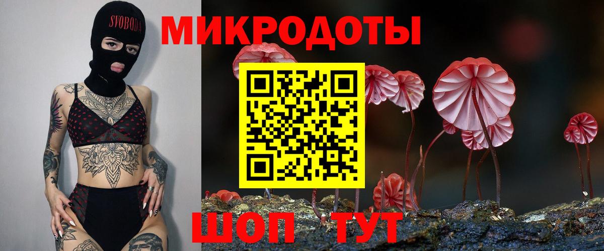 Армавир  Псилоцибиновые грибы Psilocybine cubensis  Вход с VPN 